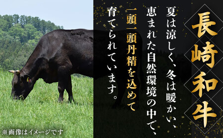 【12回定期便】長崎和牛　ハンバーグ　10個入り（各200g）【黒牛】[QBD082]