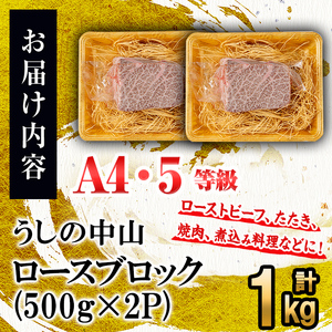 ロースブロック 計1kg(500g×2P) 黒毛和牛 和牛 肉 牛肉 国産 九州産 鹿児島県産 ロース 焼肉 ローストビーフ たたき 煮込み 日本一 冷凍 ブロック肉 BBQ バーベキュー ステーキ e5-002