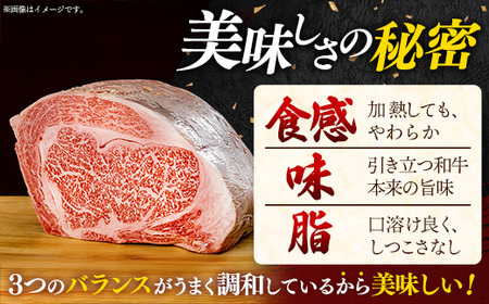 焼肉で赤身の美味しさと脂の美味しさ食べ比べ（肩、バラ）（400g） 黒毛和牛 しまね和牛 ウデ カルビ 冷凍 牛肉 セット【20-DC-78】
