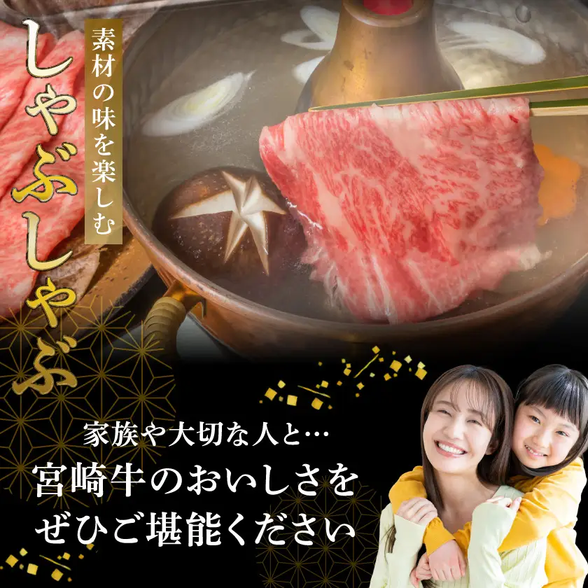 宮崎牛モモ・ウデスライス400g_11-2604 牛肉 A4ランク4等級 国産ブランド牛 牛もも肉 牛うで肉