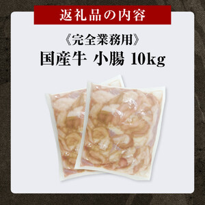 《完全業務用》国産牛　小腸　10kg