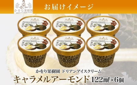 ドリアン ココナッツ キャラメルアーモンド アイスクリーム 122ml 6個 ココナッツ キャラメル