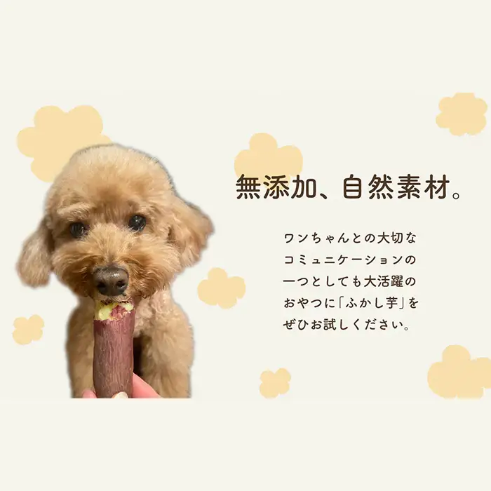 637ペット用蒸かし芋2kg（紅はるか）ペットのおやつ【茨城町農業公社】