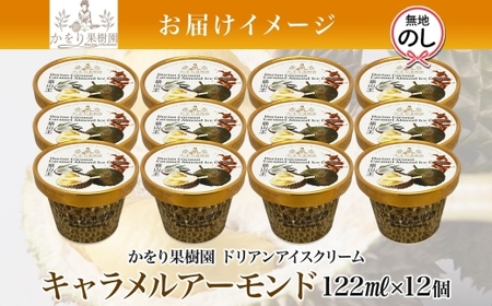 【無地熨斗】ドリアン ココナッツ キャラメルアーモンド アイスクリーム 122ml 12個 ココナッツ キャラメル