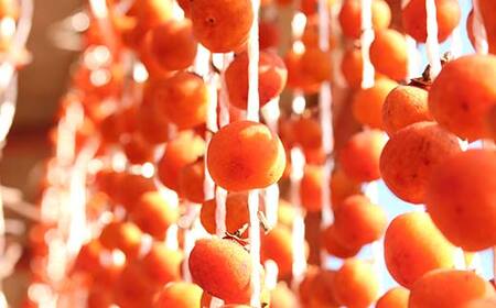 山形県産 紅柿あんぽ 4個入×3袋 計420g F2Y-6169