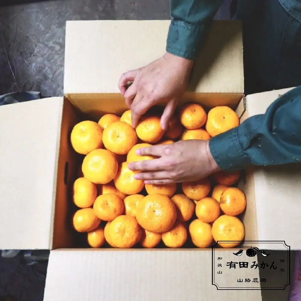 有田みかん 約3kg みかん 家庭用 訳あり