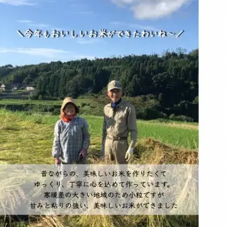 令和7年度産 【特別栽培米】 石川県産 こしひかり 棚田米 【白米】 5kg まっきゃま米