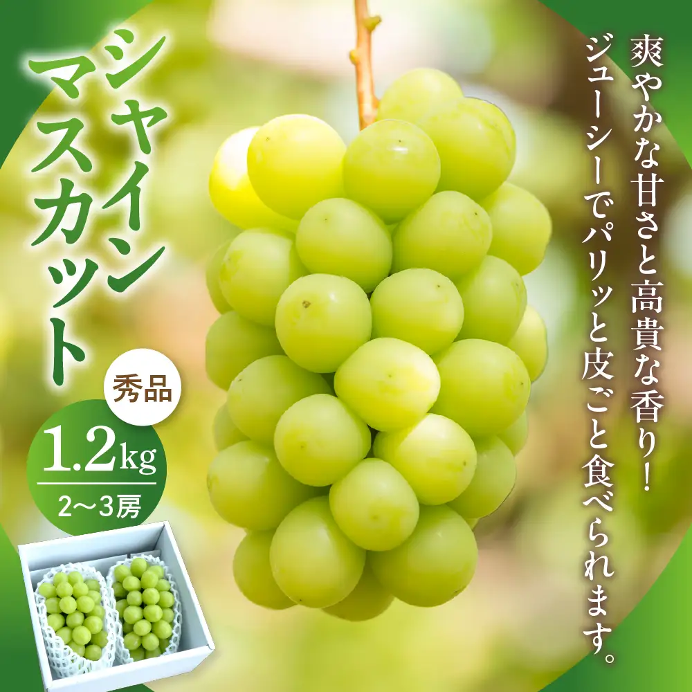 定期便 3回 お取り寄せ 黄桃 マスカット サンフジ 定期便 フルーツ