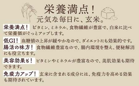 令和7年産新米 コシヒカリ玄米30kg ｜ 米 お米 国産 栃木県 塩谷町 ※2025年12月上旬～2026年9月中旬頃に順次発送予定