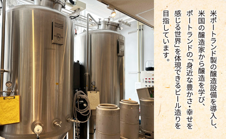 クラフトビール UME CRAFT 12本セット 千ブランド ビール 幕張ブルワリー オレゴン州 ポートランド 梅 爽やか 酸味 すっきり 千葉市 千葉県