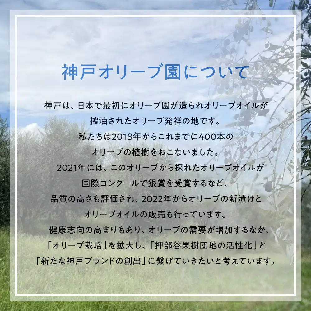 神戸オリーブ園産エクストラバージンオリーブオイル91g(100ml)