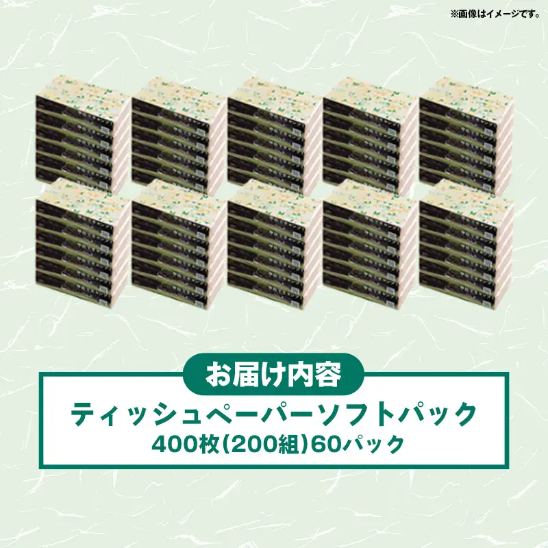 ティッシュペーパーソフトパック　４００枚（２００組）６０パック -  ティッシュ ペーパー 日用品  備蓄 防災 ストック 熊本県 甲佐町【ZC】【価格改定XA】