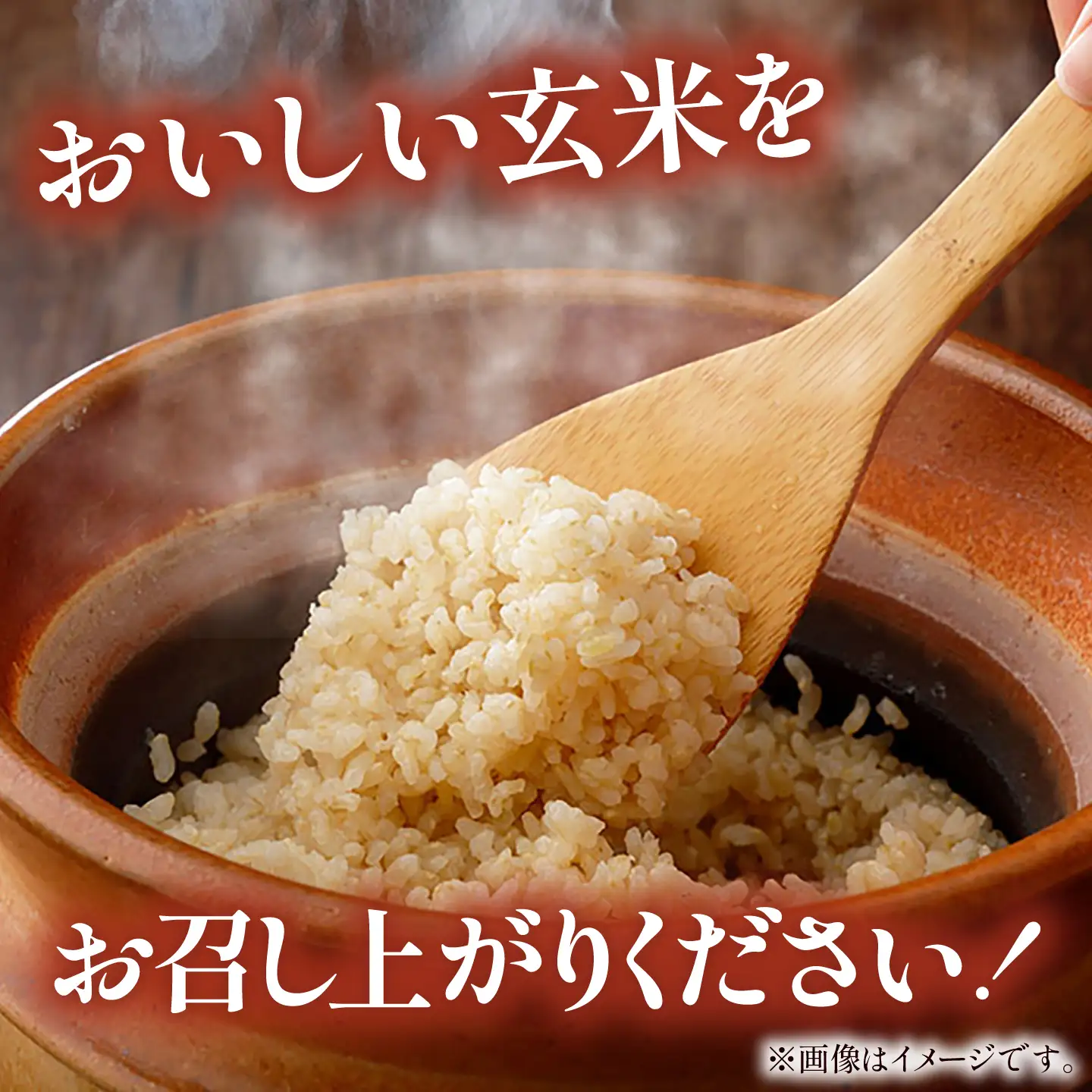 【玄米】先行予約／令和8年産新米 コシヒカリ 10Kg 玄米 [AIAN003]