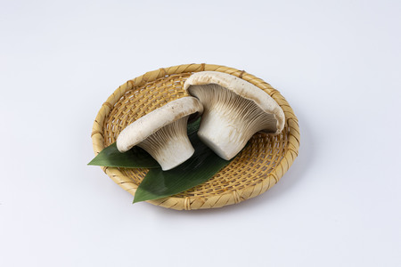 食欲の秋！きのこの詰め合わせ(ぶなしめじ・ゆきれいたけ・王リンギ各3パック)　AT16