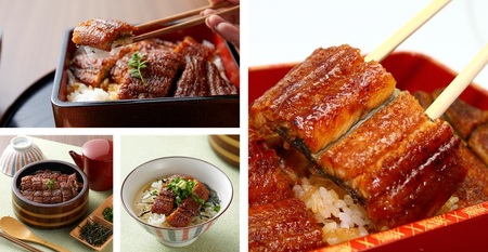 【なにわの名工】炭火手焼き鰻 浜名湖産天然うなぎ 2尾 鰻_OS157-0003