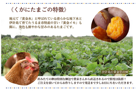 【 大阪喜安 】しまなみレモン香るくがにたまごのレモンケーキ 贈り物_OS186-0002