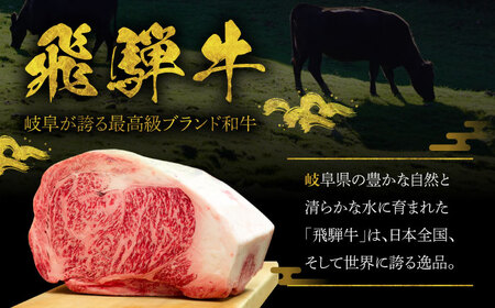 A5等級 飛騨牛 こま切れ 1kg (250g×4P) 瑞浪市 / マルチョウ渡辺精肉店 牛肉 和牛 国産 ギフト お取り寄せ [AZCW004]