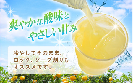 【岡山の酒】 御前酒 ゆず酒 500ml×2本 / 辻本店 真庭市 【thtn020-02】