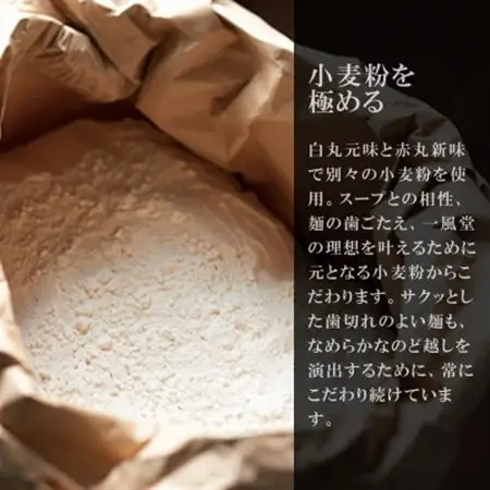 訳あり 豚骨ラーメン 一風堂 食べ比べ 計24食セット 本格生麺 業務用 簡易梱包 博多細麺【1636122】