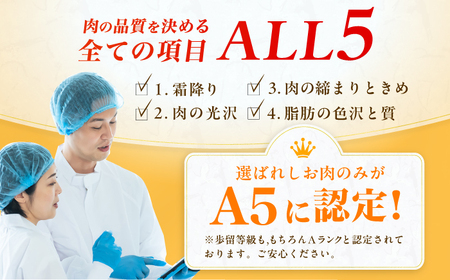【6回定期便】A5ランク ヒレステーキ 200g×2枚 / ヒレ[AFCH003]