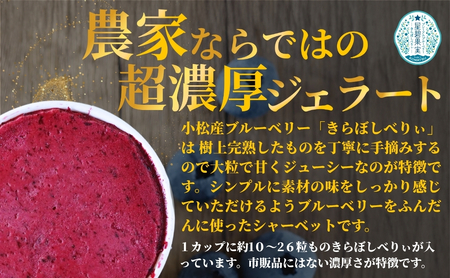 きらぼしべりぃのリッチソルベ6個入り アイス ソルベ アイス