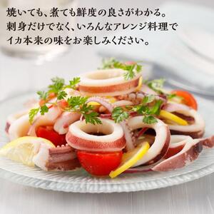 【復興支援】船凍するめいか 約2kg 10杯 ( 2杯 × 5袋 ) 小分け 個包装 刺し身 海産物 魚介類 獲れたて 急速冷凍 新鮮 刺身 さしみ 烏賊 人気 おすすめ ご当地グルメ カルパッチョ パスタ いかめし 煮物