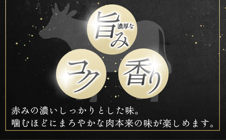 見蘭牛ビーフカレー（5人前）