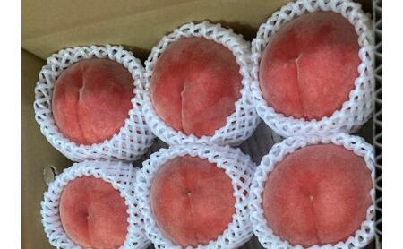 桃 先行予約 川中島白桃 秀品 約 3kg (6～11玉) フルーツ 果物 夏 旬 2026年 8月発送