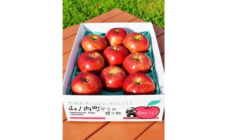 【2026年9月～発送】シナノドルチェ 秀品 約3kg 7～11玉 りんご 果物 信州 長野