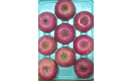 りんご 先行予約 サンふじ 秀品 約 3kg (7～11玉) フルーツ 果物 冬 2026年 12月発送
