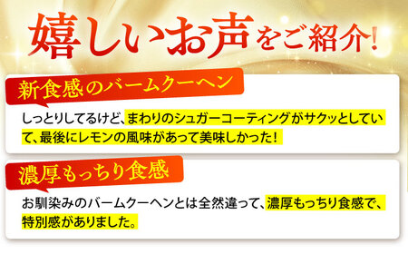 龍乃掌 バウムクーヘン マイヤーレモン＆ダークショコラ  2個セット バームクーヘン AMAU010