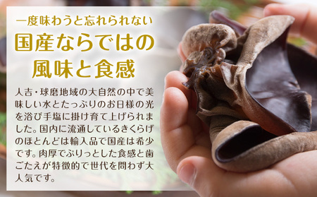 乾燥きくらげ 40g 鷹乃産業有限会社 《30日以内に出荷予定(土日祝除く)》熊本県 球磨郡 山江村 きくらげ きのこ 野菜