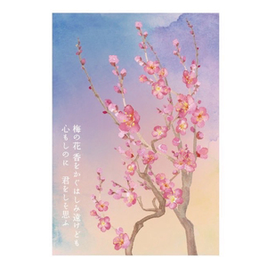 【水戸市有料観光土産品】Shamrock うずらのたまごのピクルス 梅香 3本（FE-10）