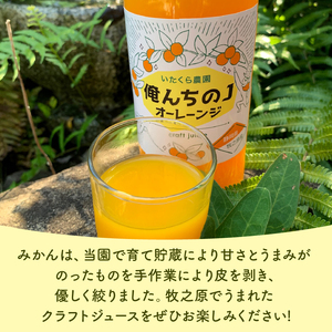みかん ジュース 1000ml×6本 ジュース