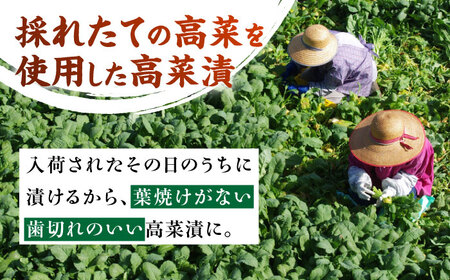 老舗逸品 恵み 高菜3種セット [BGAX002] 高菜漬け 漬物 つけもの