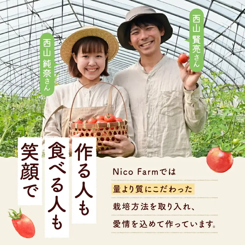 【先行予約：2026年7月下旬頃より発送】NicoFarm トマトベリー（ミニトマト）1Kg_ Y124-0011