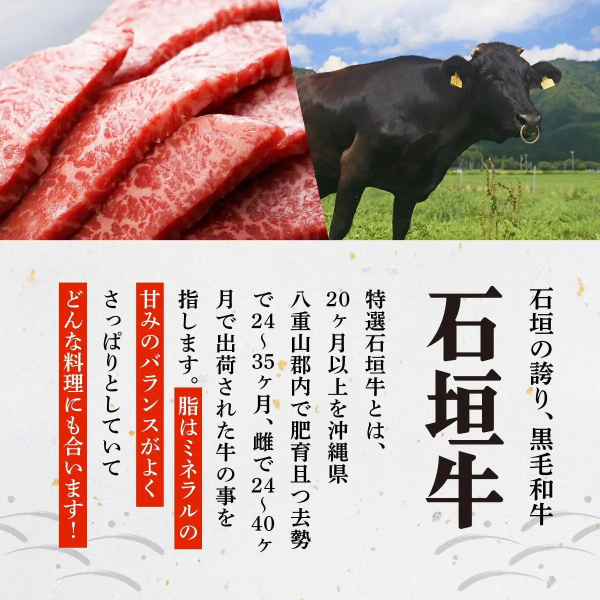 石垣牛 上カルビ サーロイン 特選しゃぶしゃぶ 焼肉タレ100ml 定期便3回 計1.1kg