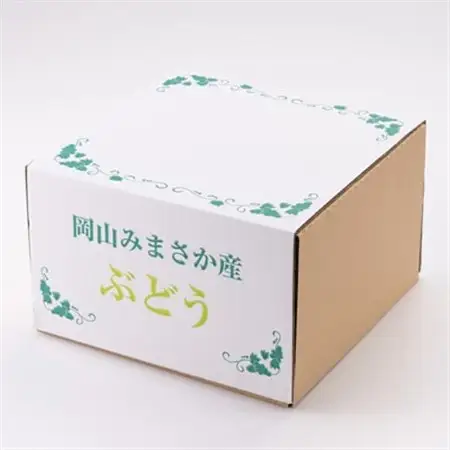 シャインマスカット1Kg 岡山県産フルーツ 1房～2房【配送不可地域：離島】【1626496】