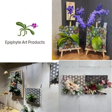 Epiphyte　Art　Products　麻の葉　L　グレー【1635984】