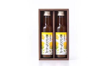 【萬屋薬局】黄のジンジャーエール 180ml×2本 F2Y-6995