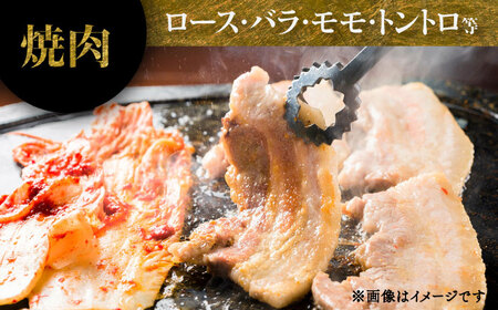【香心ポーク】焼肉用厚切り、しゃぶしゃぶ用薄切り のセット(計約1.3kg) しゃぶしゃぶ BHAH008