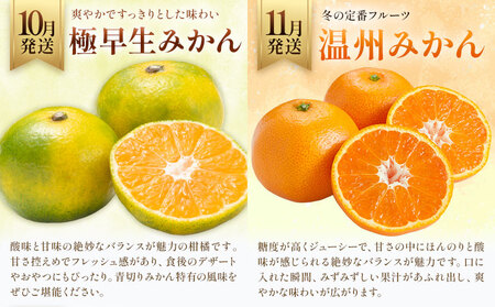 プレミアム フルーツ 定期便 5ヶ月連続 秀品 スペシャル 計35.6kg 日本フルーツ株式会社《8月上旬-12月末頃出荷》熊本県 荒尾市 シャインマスカット おまかせ 梨 極早生みかん 温州みかん  葉付き不知火 果物 フルーツ スイーツ デザート ギフト ご贈答
