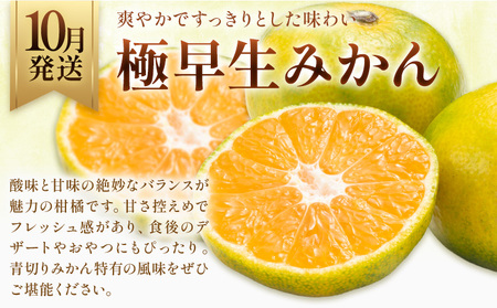 旬の フルーツ 定期便 3ヶ月連続 秀品 リッチ 計12㎏ 日本フルーツ株式会社《8月上旬-10月末頃出荷》熊本県 荒尾市 シャインマスカット おまかせ 梨 極早生みかん 果物 フルーツ スイーツ デザート ギフト ご贈答