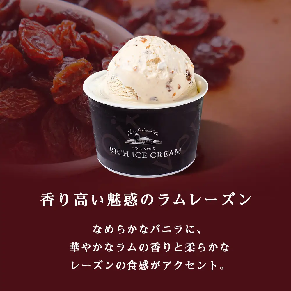 リッチアイスクリーム 香り高い魅惑のラムレーズン 8個セット（100ml）