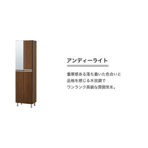【開梱設置】シューズボックス 【リアル 50 HI】 アンディーライト_開梱設置 シューズボックス リアル 50 HI 大川家具 アンディーライト 靴箱 靴 収納 可動棚 脱臭性能 お洒落 国内製造 福岡県 久留米市 送料無料 〔Qd060-04〕