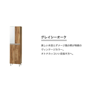 【開梱設置】シューズボックス 【リアル 50 HI】 グレイシーオーク_開梱設置 シューズボックス リアル 50 HI 大川家具 グレイシーオーク 靴箱 靴 収納 可動棚 脱臭性能 お洒落 国内製造 福岡県 久留米市 送料無料 〔Qd060-05〕