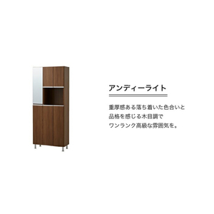 【開梱設置】シューズボックス 【リアル 75 HI】 アンディーライト_開梱設置 シューズボックス リアル 75 HI 大川家具 アンディーライト 靴箱 靴 収納 鏡 可動棚 お洒落 国内製造 福岡県 久留米市 送料無料 〔Qd061-04〕