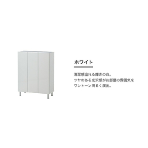 シューズボックス 【リアル 75 LO】 ホワイト つや有_シューズボックス リアル 75 LO 大川家具 ホワイト つや有 靴箱 靴 収納 可動棚 お洒落 国内製造 お取り寄せ 福岡県 久留米市 送料無料 〔Qd062-01〕