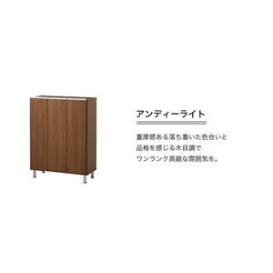 シューズボックス 【リアル 75 LO】 アンディーライト_シューズボックス リアル 75 LO 大川家具 アンディーライト 靴箱 靴 収納 可動棚 お洒落 国内製造 お取り寄せ 福岡県 久留米市 送料無料 〔Qd062-04〕