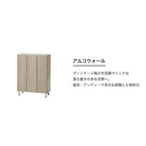 シューズボックス 【リアル 75 LO】 アルコウォール_シューズボックス リアル 75 LO 大川家具 アルコウォール 靴箱 靴 収納 可動棚 お洒落 国内製造 お取り寄せ 福岡県 久留米市 送料無料 〔Qd062-06〕